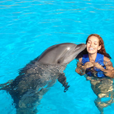 Swim with Dolphins